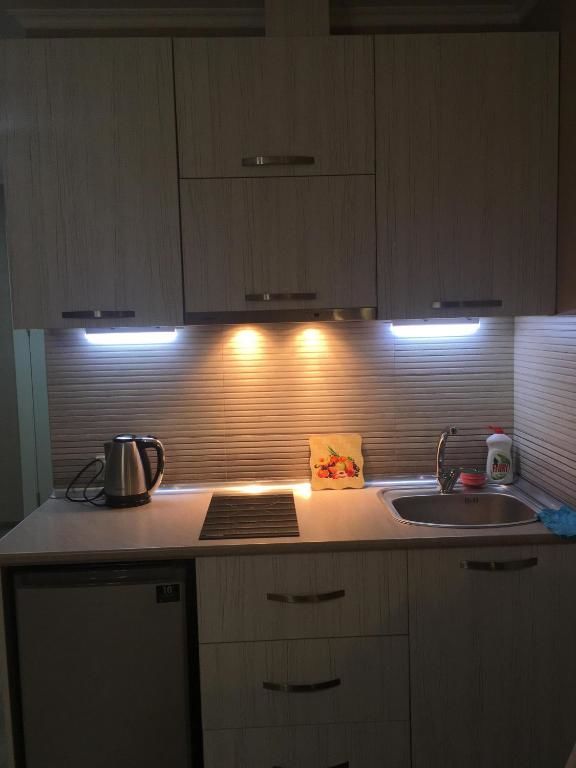 Апарт-отели New Gudauri Ski Loft #101 Гудаури